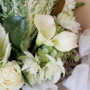 Blanc Bouquet - Image 3