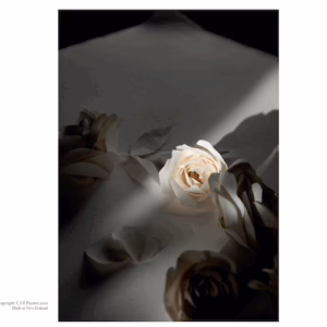 Floralography 2 Greeting card
