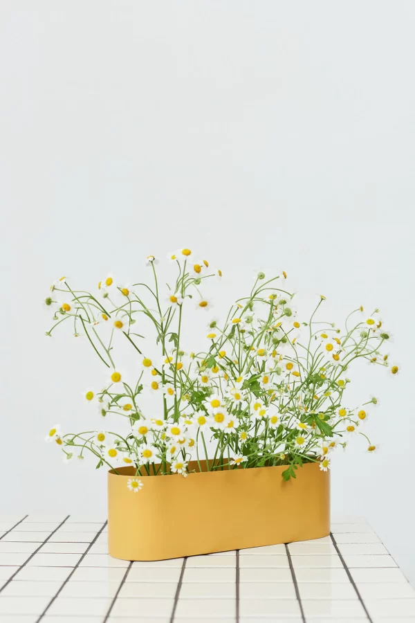 Urban Eden Co | Love Boat Vessel Small Mustard