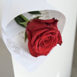 Single Red Rose - Image 2