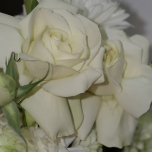 Matcha and Floral Workshop | Sat 26th July - Image 2