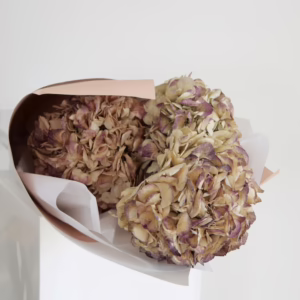 Hydrangea Bouquet