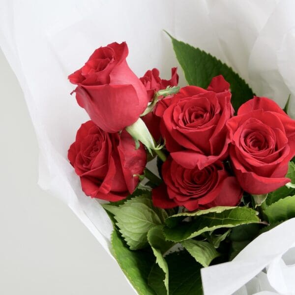 Half Dozen Red Roses