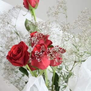 Half Dozen Red Roses with Gypsophila - Image 3