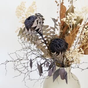 Banksia and Gyp in Beige - Image 5