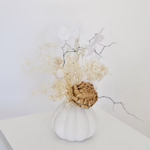 Gyp and Artichoke in White