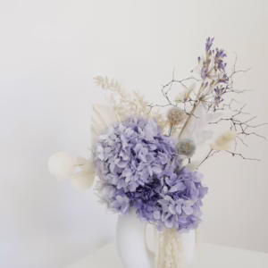 Purple Hydrangea in White