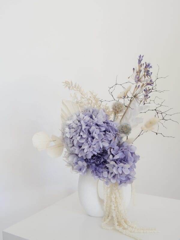 Purple Hydrangea in White