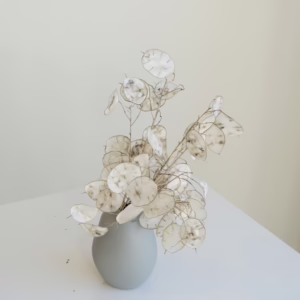 Honesty - Image 2