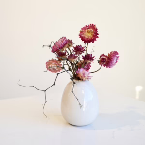 Kaia Mini