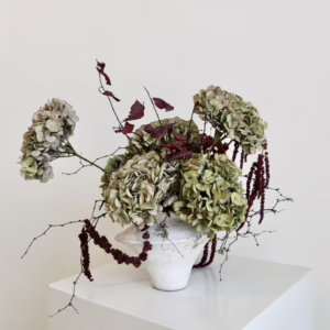 Daphne - Image 2