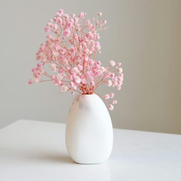 Pink Gyp Mini