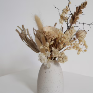Banksia in Little Rick - Image 2