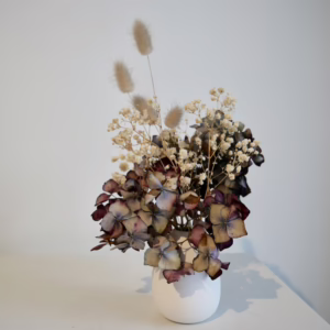 Hydrangea Mini