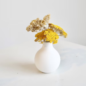 Mini Yarrow