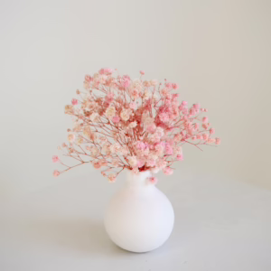 Pink Gyp in White - Image 2