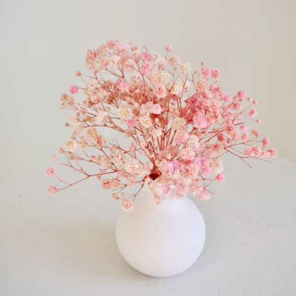 Pink Gyp in White