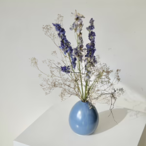 Delphinium and Gyp in Blue