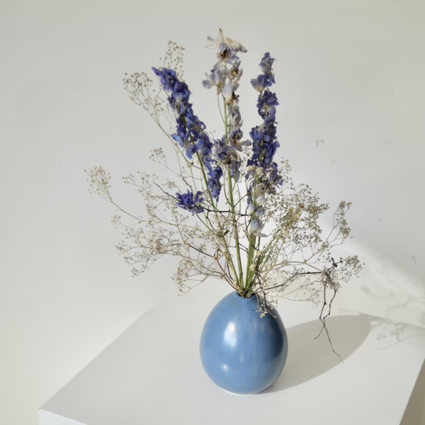 Delphinium and Gyp in Blue