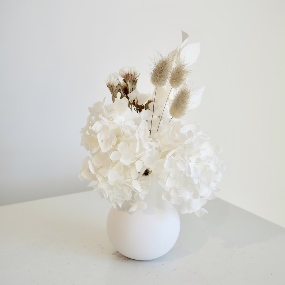 White Hydrangea Mini in White