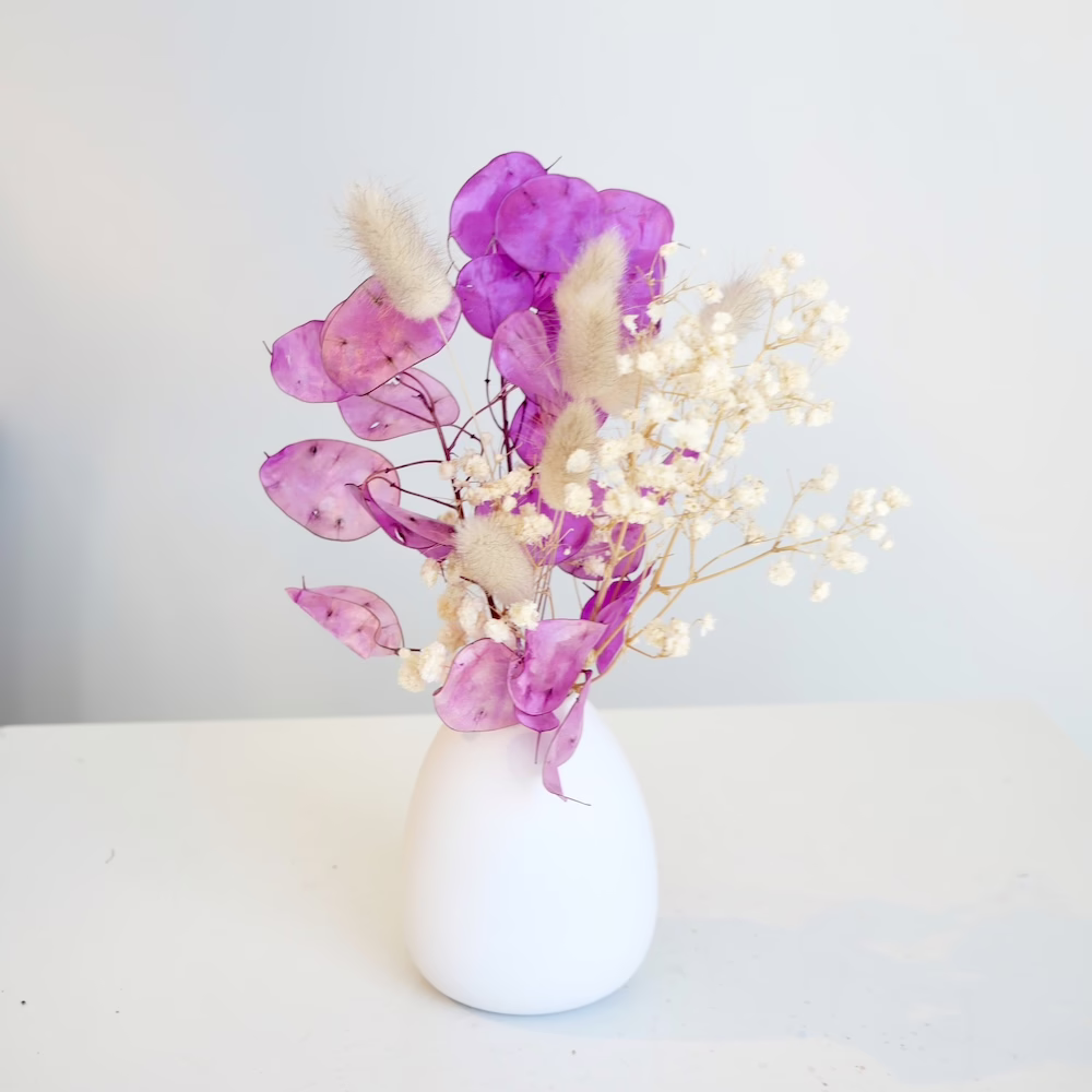 Honesty, Bunnies and Gyp Mini - Image 2