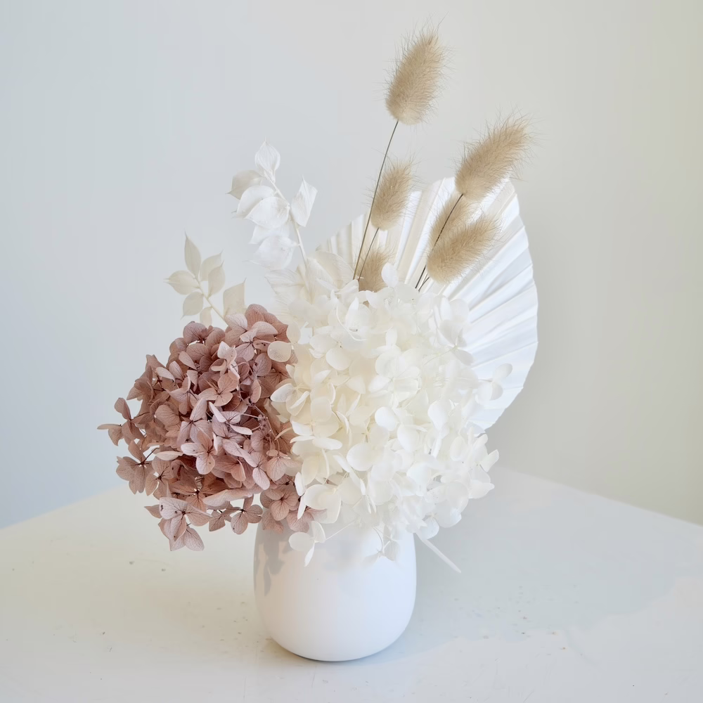 Mocha and White Mini II