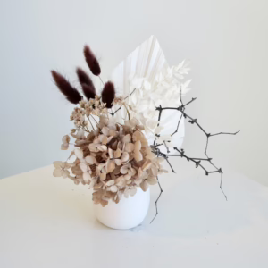 Mocha and White Mini With Brown Bunnies