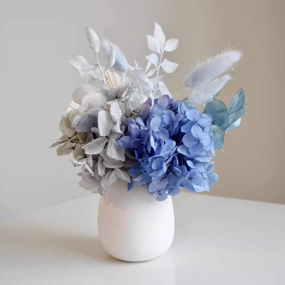 Blue Hydrangea Mini in White