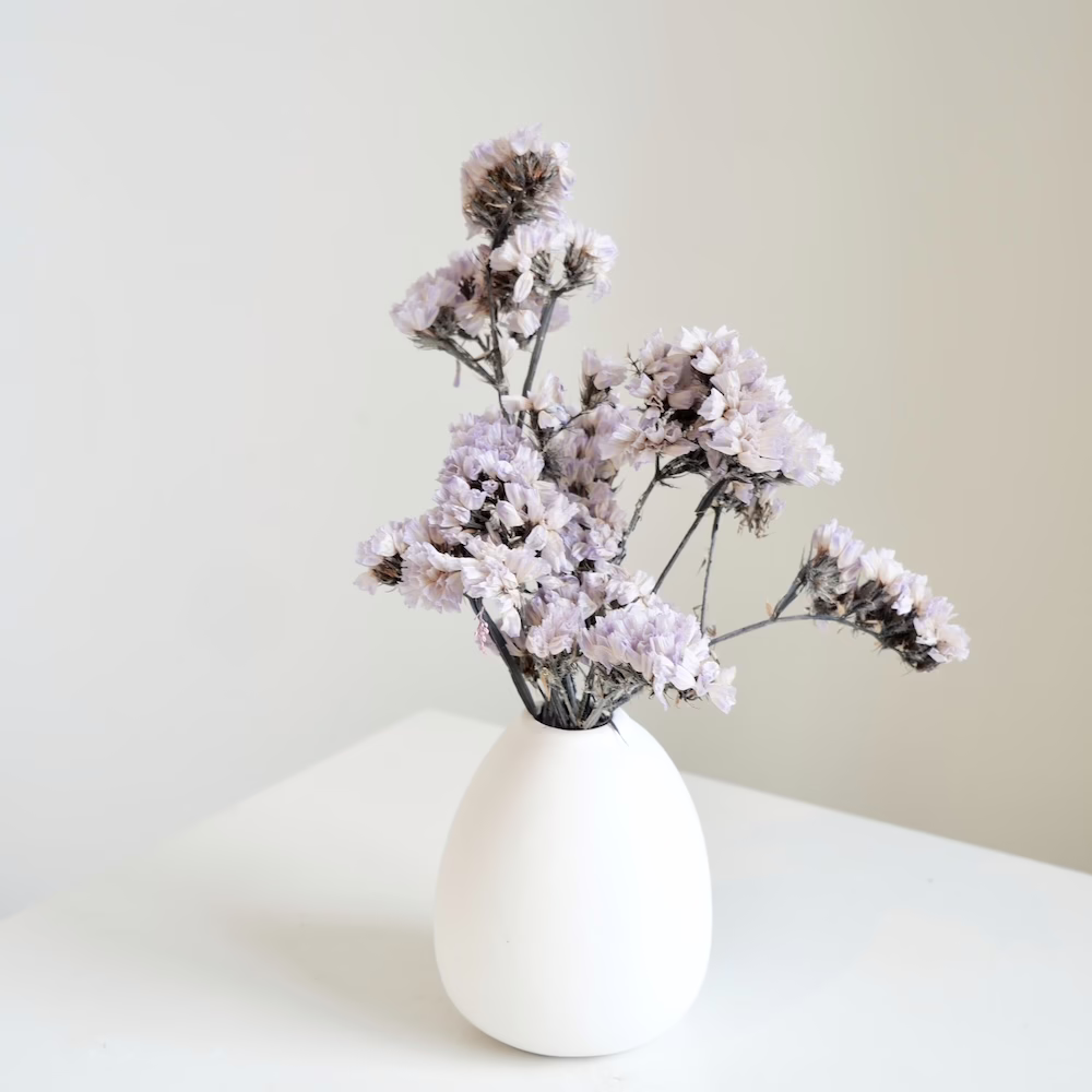 Lilac Statice Mini in White - Image 2