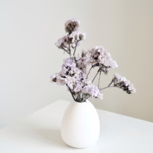 Lilac Statice Mini in White