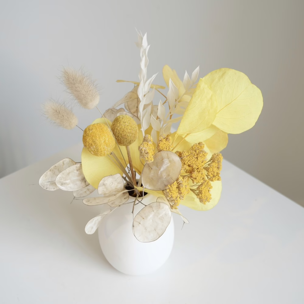 Sunshine mini in white - Image 2