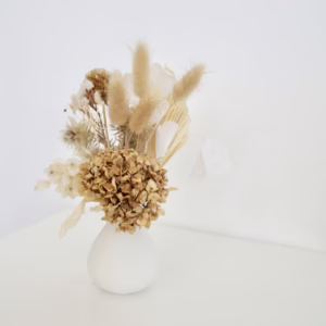 Toffee and Bunnies Mini