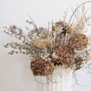 Full Hydrangea Bloom