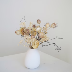 Strawflower in White Mini