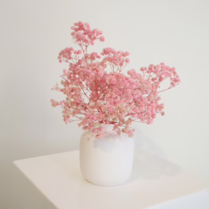 Pink Gyp Mini