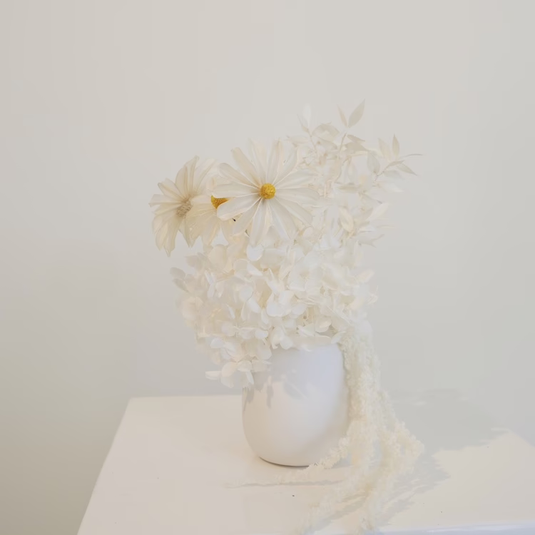 White Mini Daisy