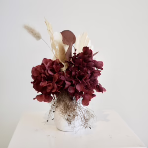 Burgundy Hydrangea Mini
