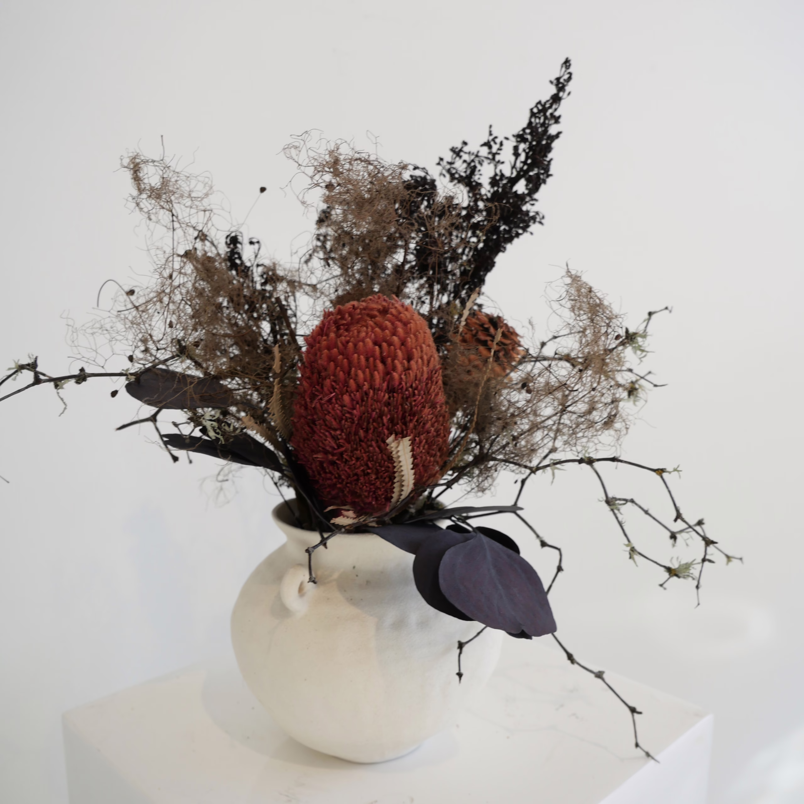 Lola - Image 3