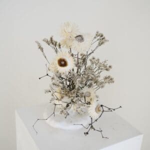 Strawflower and Mulenbekia