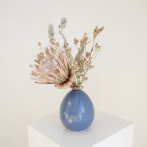 Protea in Blue