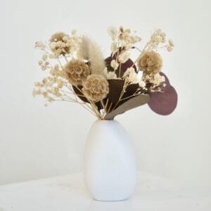 Brown Terracotta Mini in White