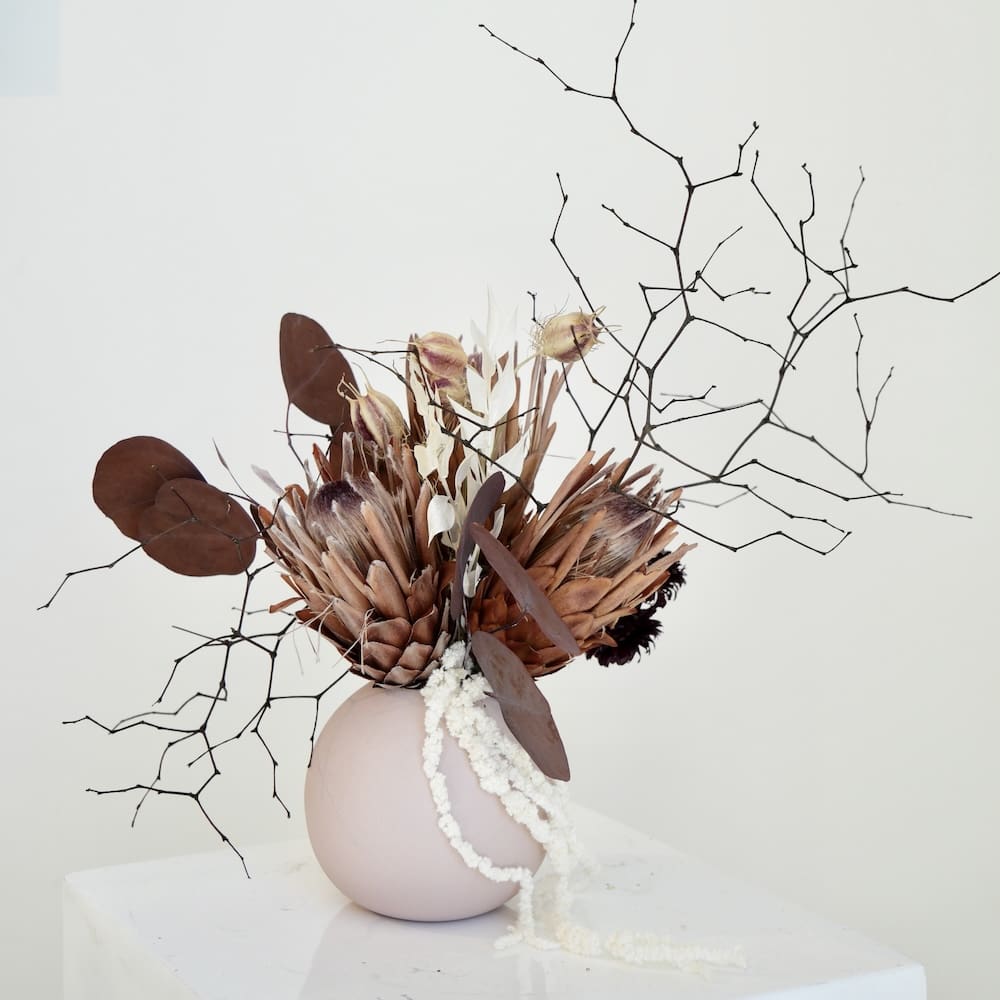 Protea In Blush - Image 3