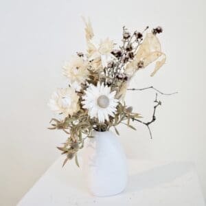 White Strawflower Mini