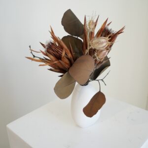 Protea Mini