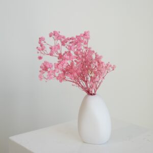 Pink Gyp Mini