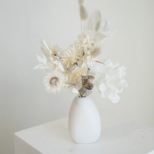 White Strawflower Mini